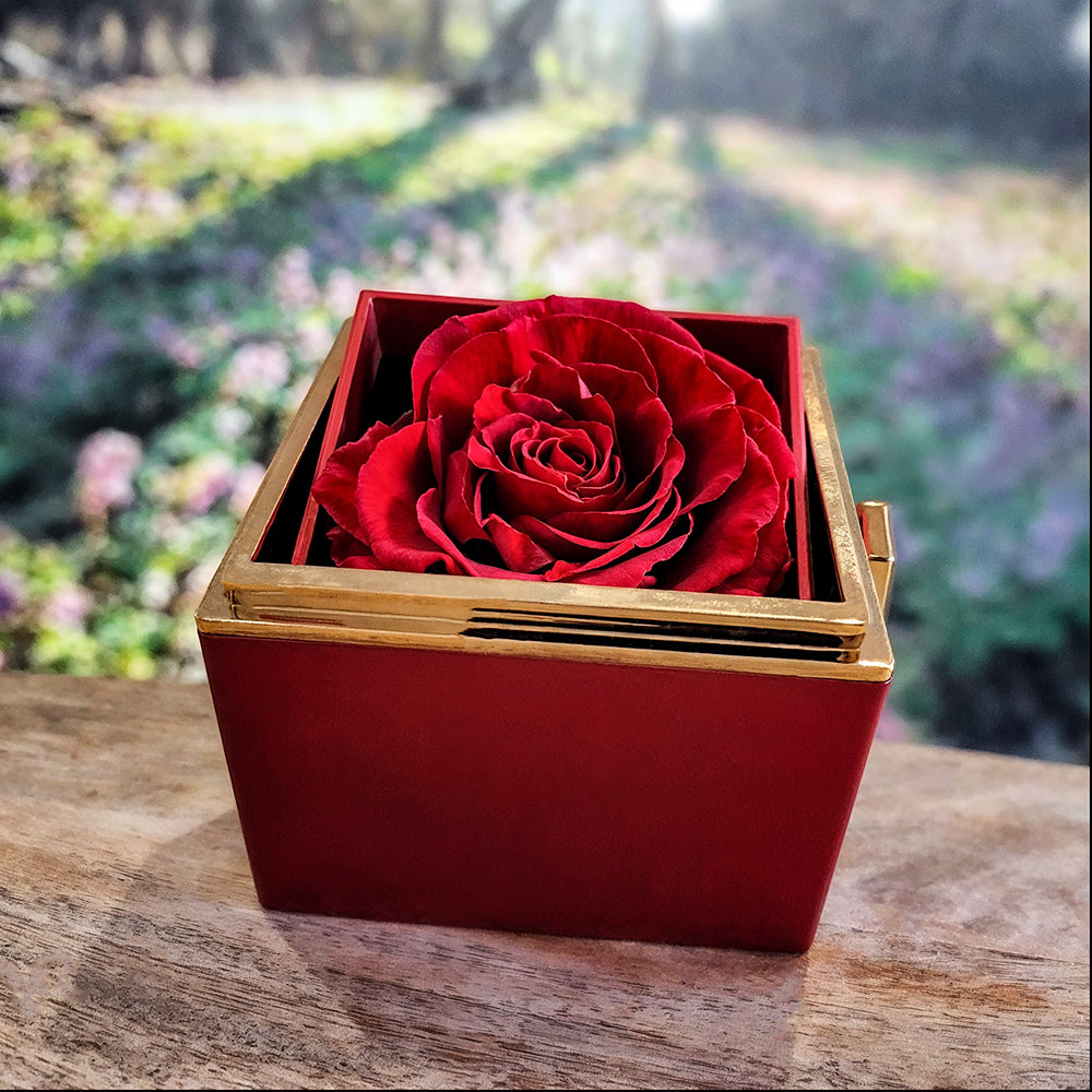 To My Wife - Christian Gift with Rotating Rose Gift Box