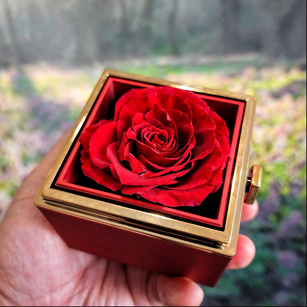 To My Wife - Christian Gift with Rotating Rose Gift Box
